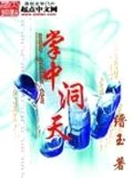 掌中洞天封面