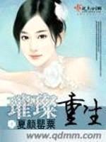 璀璨重生封面