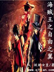海贼王穹顶之下封面