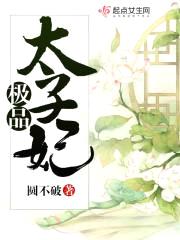 极品太子妃封面