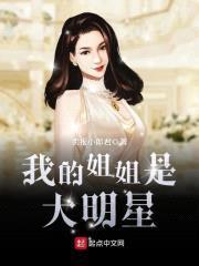 我的jiejie是大明星封面